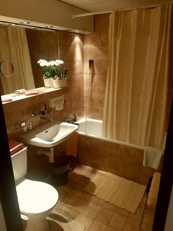 Hotel Sonne Wildhaus Εξωτερικό φωτογραφία